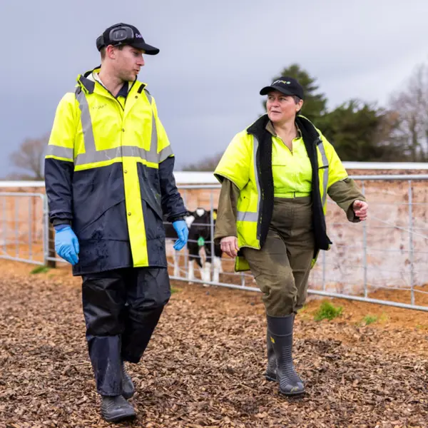 Research technicians at lye farm working on less-methane research trial.